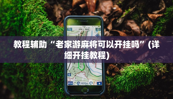 必看教程“新大圣大厅开挂辅助”开挂辅助详细步骤