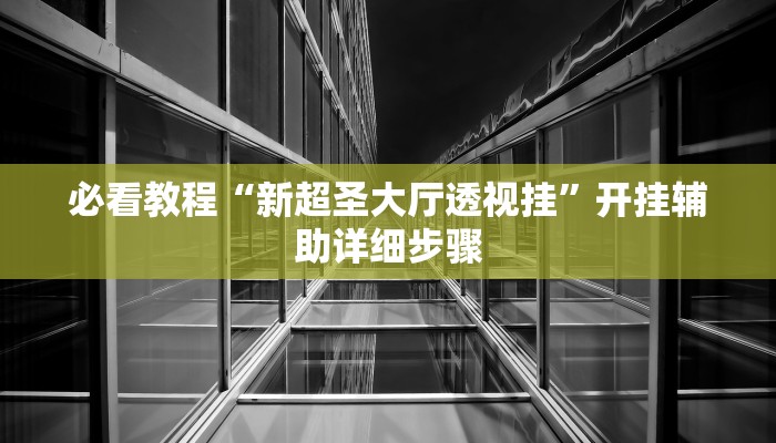 必看教程“新超圣大厅透视挂”开挂辅助详细步骤 必看教程“新超圣大厅透视挂”开挂辅助详细步骤