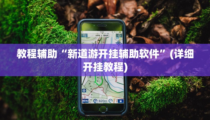 教程辅助“新道游开挂辅助软件”(详细开挂教程) 教程辅助“新道游开挂辅助软件”(详细开挂教程)