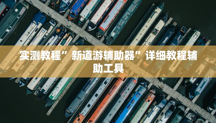 实测教程”新道游辅助器”详细教程辅助工具