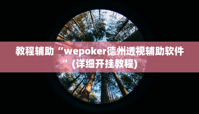 教程开挂辅助“丽水都莱可以调胜率吗”2025开挂教程步骤