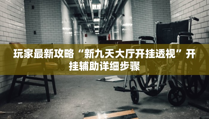 玩家最新攻略“新九天大厅开挂透视”开挂辅助详细步骤 玩家最新攻略“新九天大厅开挂透视”开挂辅助详细步骤