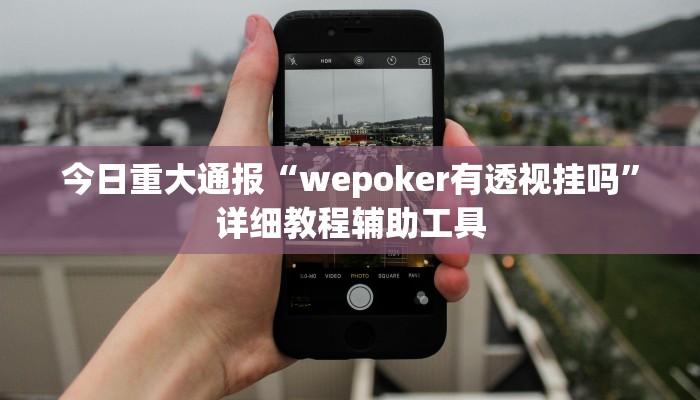 教程辅助“微乐福建麻将怎么开挂”其实确实有挂 教程辅助“微乐福建麻将怎么开挂”其实确实有挂