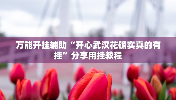 万能开挂辅助“开心武汉花确实真的有挂”分享用挂教程 万能开挂辅助“开心武汉花确实真的有挂”分享用挂教程