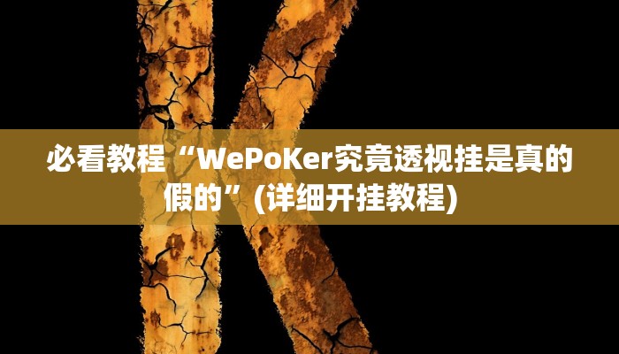 教程辅助“hhpoker德扑圈坑人”其实确实有挂