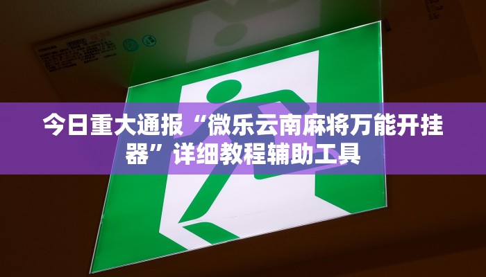 万能开挂辅助“吉祥棋牌斗地主填大坑透视”开挂(透视)辅助教程 万能开挂辅助“吉祥棋牌斗地主填大坑透视”开挂(透视)辅助教程