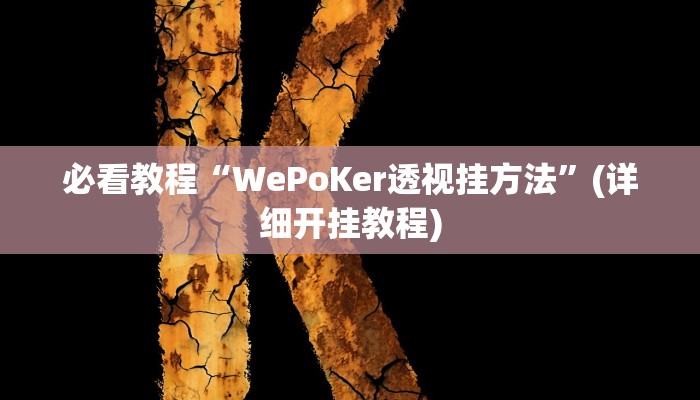 必看教程“WePoKer透视挂方法”(详细开挂教程)