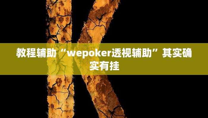 教程辅助“wepoker透视辅助”其实确实有挂