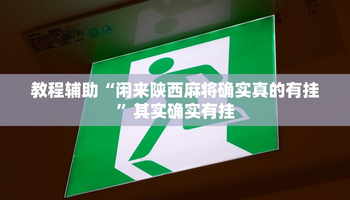 教程辅助“闲来陕西麻将确实真的有挂”其实确实有挂