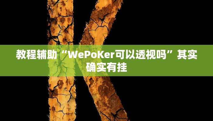 教程辅助“WePoKer可以透视吗”其实确实有挂