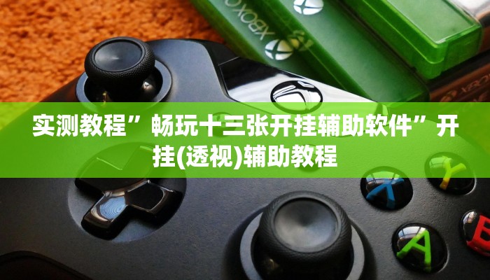 实测教程”畅玩十三张开挂辅助软件”开挂(透视)辅助教程 实测教程”畅玩十三张开挂辅助软件”开挂(透视)辅助教程