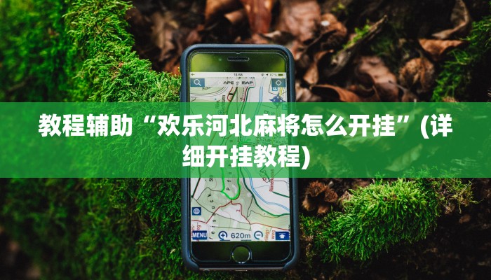 教程辅助“欢乐河北麻将怎么开挂”(详细开挂教程) 教程辅助“欢乐河北麻将怎么开挂”(详细开挂教程)