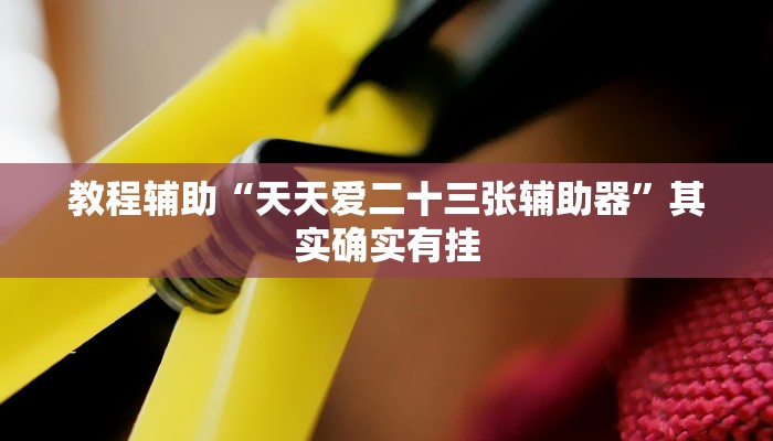 教程辅助“天天爱二十三张辅助器”其实确实有挂 教程辅助“天天爱二十三张辅助器”其实确实有挂